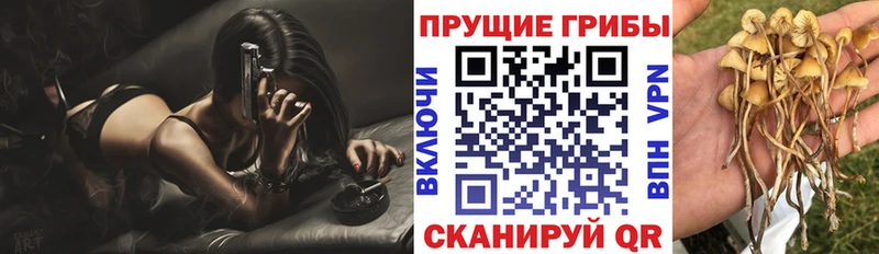 Псилоцибиновые грибы MAGIC MUSHROOMS  маркетплейс какой сайт  Лыткарино  наркота 